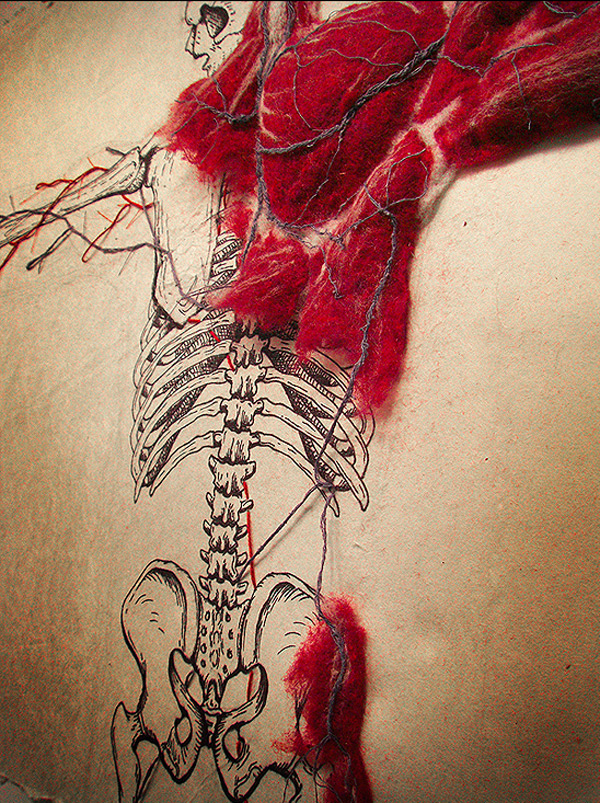 anatomy-2